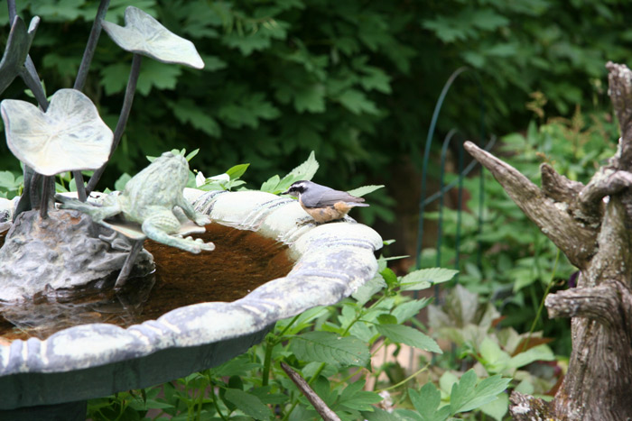 ECOGARDEN2