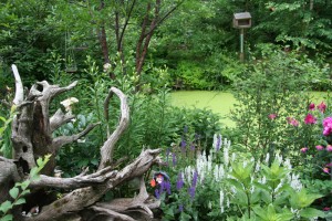 ecogarden