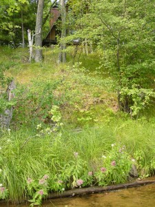 natural-lancscaped-lakeshore